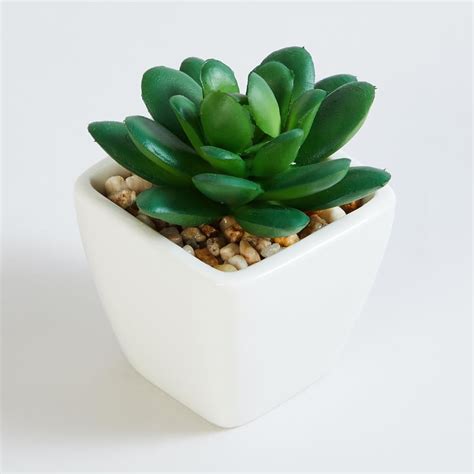 Buy Gardenia Artificial Succulent in Ceramic Pot from Home Centre at ...