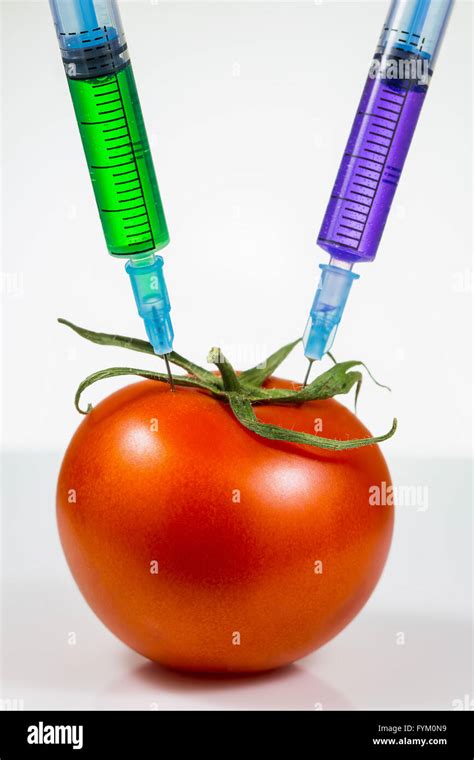 What Is Genetic Modification 的图像结果