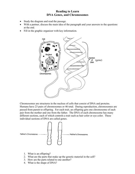 Image result for DNA Fingerprinting Worksheet Back Answer Key