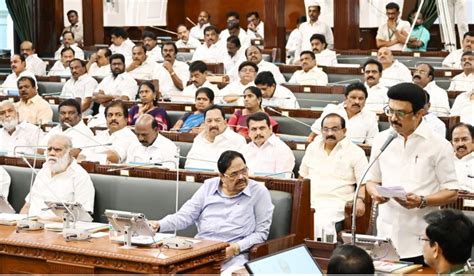 தங்கச்சிமடம் பகுதியில் ரூ.150 கோடியில் மீன்பிடித் துறைமுகம்: முதல்வர் ...