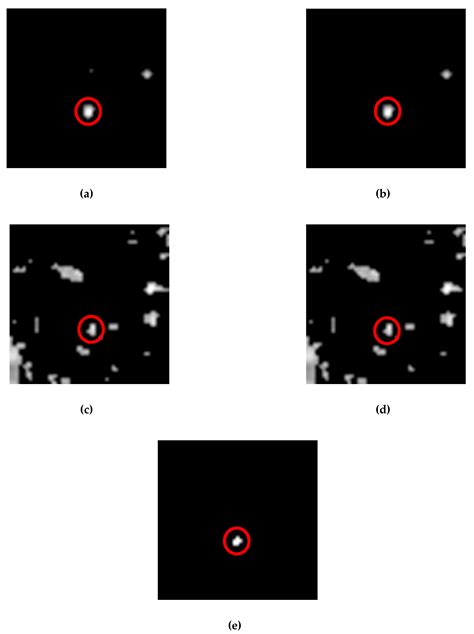 Partial Linear NMF-Based Unmixing Methods for Detection and Area ...
