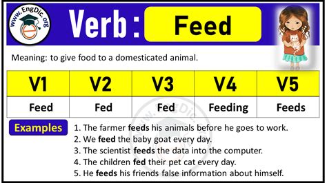 Feed Verb Forms: Past Tense and Past Participle (V1 V2 V3) - EngDic