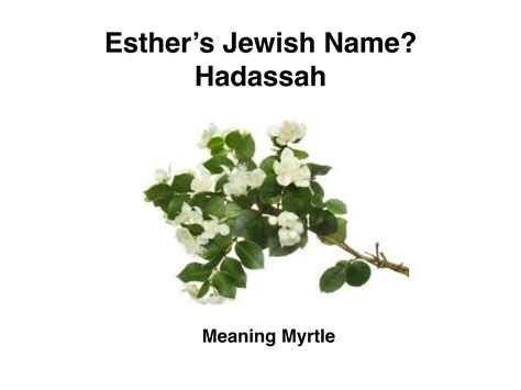 Hadassah Name Meaning