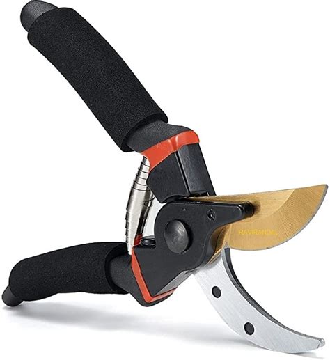 RAVIRANDAL Tools Ardening Scissor/Pruning Shear, Flower Cutter, Leaf ...