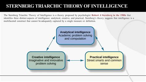 Who Developed The Triarchic Theory Of Intelligence
