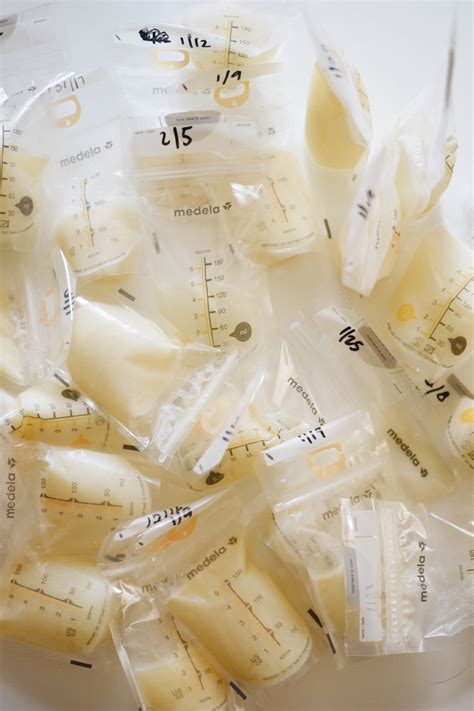 how to prepare your breast milk for freeze-drying with leche: a step-b