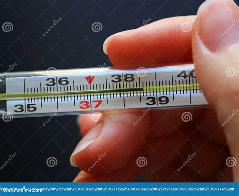 Mercury-In-Glass Thermometers Range at Louis Brannan blog