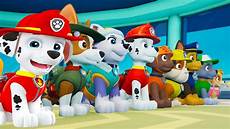 gratis malvorlagen paw patrol ultimate paw patrol ultimate rescue all ultimate pups zuma gratis malvorlagen paw patrol ultimate paw patrol ultimate rescue all ultimate pups zuma