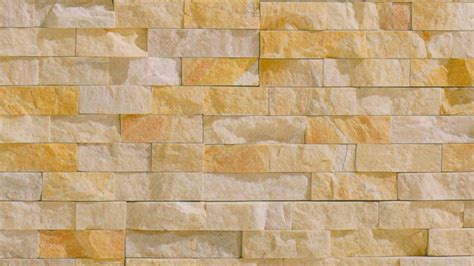 Image result for Ivory Layer Structure