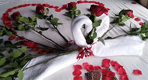 MANDALAS ECO LODGE (Cerro Azul) - Lodge Reviews, Photos, Rate ...