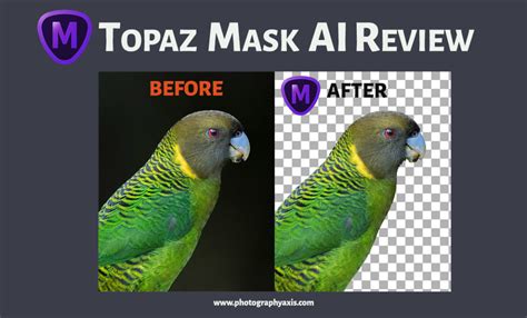 Image result for How to Use Topaz Mask AI