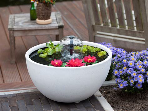 18 Water Garden Containers Large Ideas To Consider | SharonSable