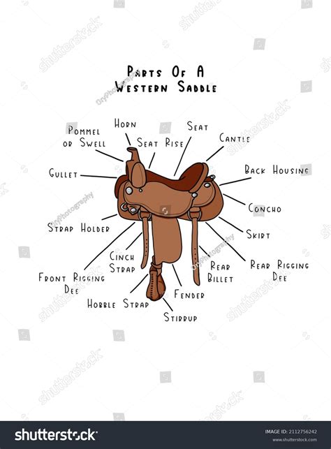 Western Saddle Parts and Accessories