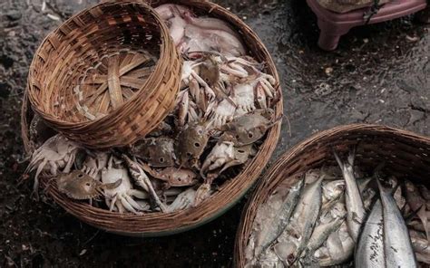 7 Iconic Fish Markets In Mumbai That You Have To Visit If You Are A ...