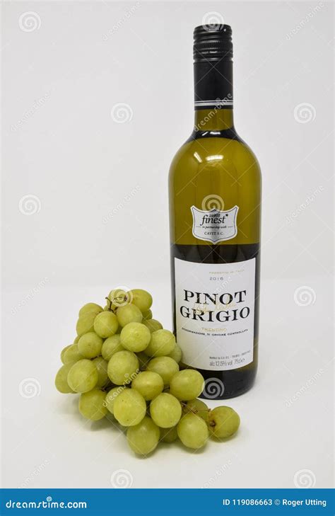 Pinot Grigio White Wine and Grapes Editorial Stock Photo - Image of ...