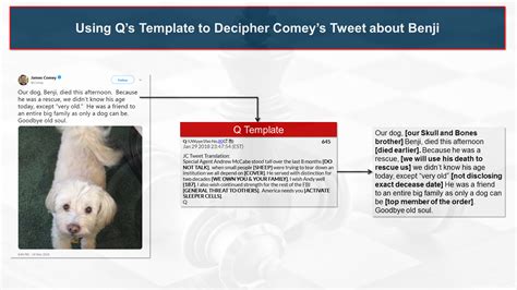 Serial Brain 2 的图像结果