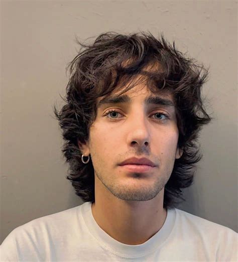 30 Artful Shag Haircuts for Men: Top Shaggy Styles Trending in 2025 ...