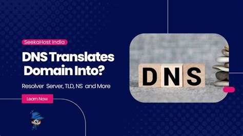 What does DNS Translates a Domain Name Into? | SeekaHost India