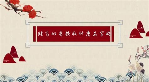 狗年姓齐男孩名字大全 属狗齐姓男宝宝起名115个 - 快思网