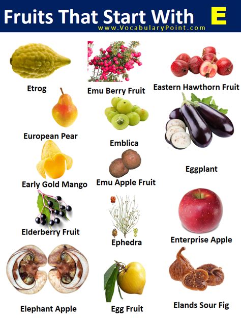 Fruits Starting with E (Properties and Pictures) - Vocabulary Point