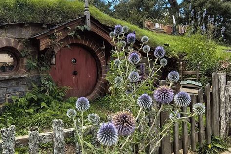2025 From Auckland Hobbiton and Waitomo Day Tour with Lunch (Auckland ...