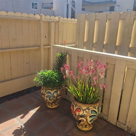 CASTILLO INN AT THE BEACH (Santa Barbara) - Motel Reviews, Photos, Rate ...