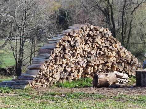 Log Splitter Safety 的图像结果