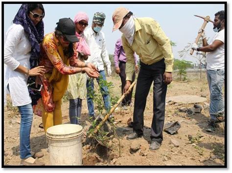 Tree Plantation at Pimpri Village