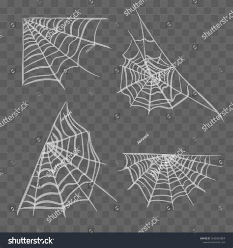 Vector Spider Web Design