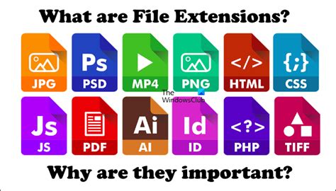 Image result for Computer File Extensions