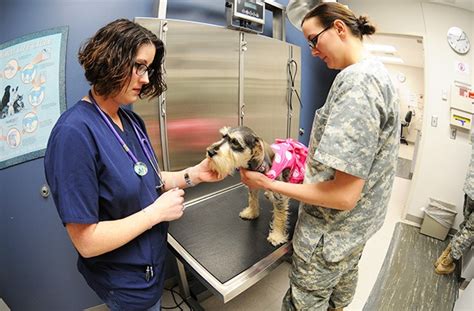 Day in the life: Rucker vet balances work life, motherhood | Article ...