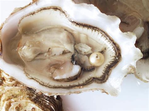 What is a Pearl's Price? Are They Truly Expensive? – Precious Earth