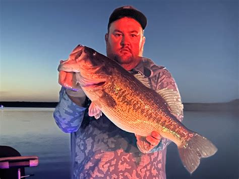 O.H. Ivie Lake Fishing Reports & Guides in Texas - FishTips | FishTips