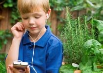 CorelDRAW Ayuda | Tipos de contenido