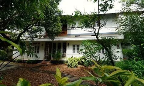 Top 5 Best Naturopathy Centre In Kerala 2025 - Doctors Finder