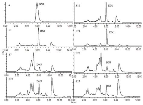 Identification and Determination of the Polyhydroxylated Alkaloids ...