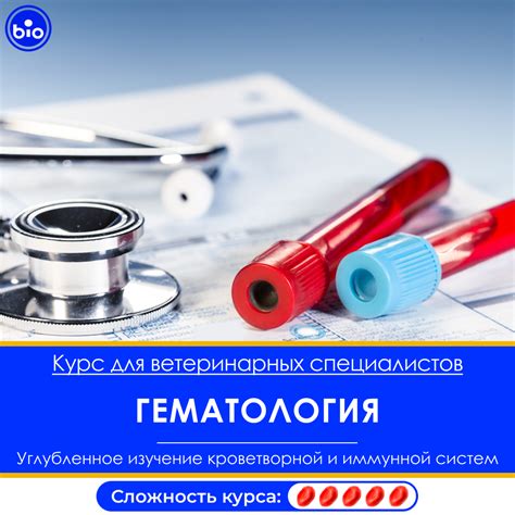 Высшая ветеринарная школа "Шанс Био"