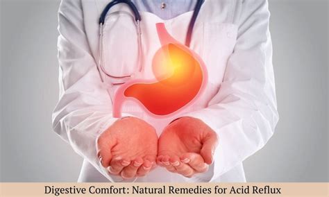 Isabgol for Acid Reflux & Gas: Natural Fibre Solution for Digestive ...