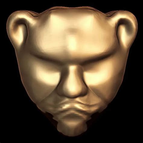 Tiger Face Structure 3D Model