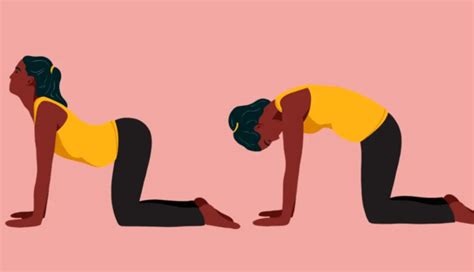 6 Exercises for Pregnant Women To Do at Home - lifeberrys.com