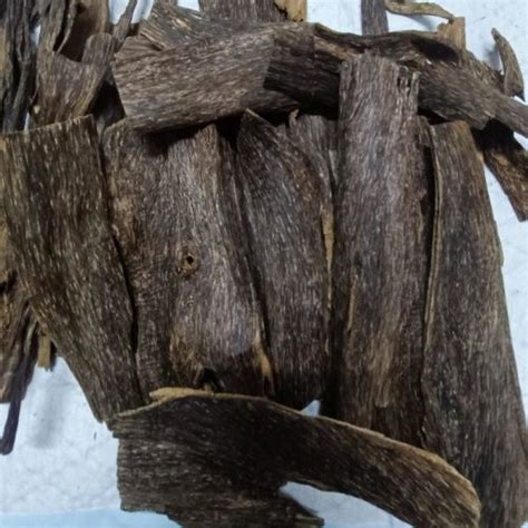ProveN1 Global - Agarwood Plant Manufacturers and Suppliers from Agartala