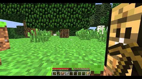 Image result for Minecraft Walkthrough Java