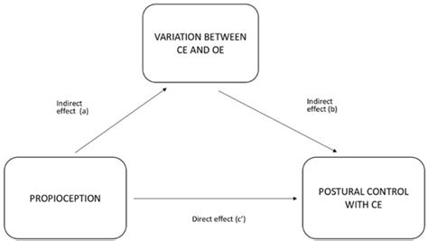 The Mediating Role of Vision in the Relationship between Proprioception ...