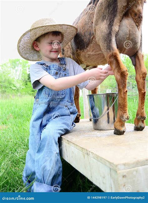 Dairy Goat Farming 的图像结果