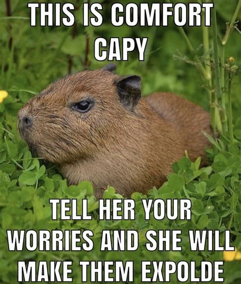 Image result for CapRate Humor