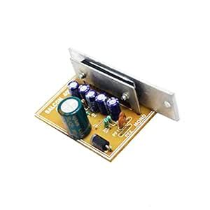 Salcon VCD 4440 Mono Amplifier Board : Amazon.in: Electronics