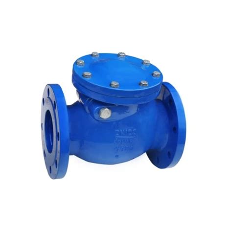 Image result for 6 Spring Check Valve