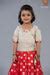 Girls Red Butterfly Lehenga Pattu Pavadai