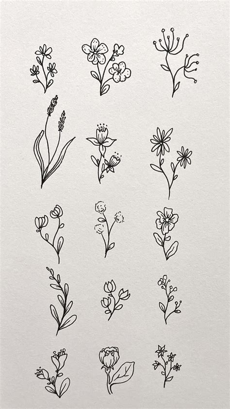 15 Easy Flower Doodles to Draw for Beginners | Flower drawing, Easy ...
