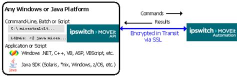 Image result for Backup Moveit Automation Database